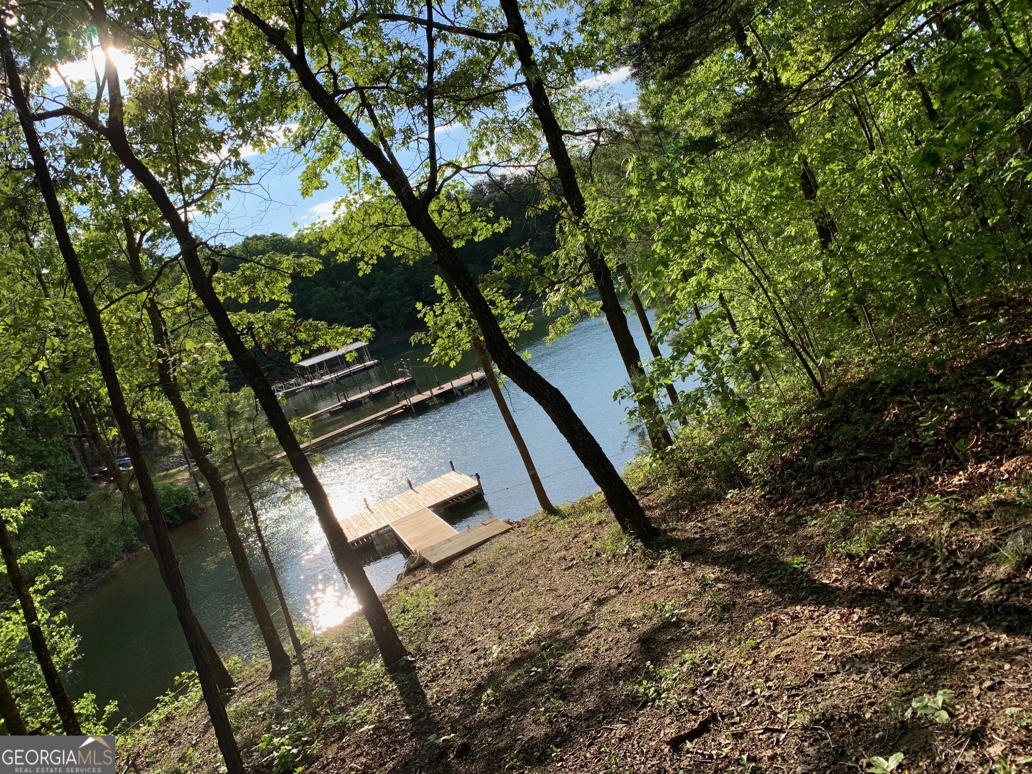 26 Chief Lane Hartwell, GA 30643 - Photo 65 of 65 a view of a yard with plants and a large tree