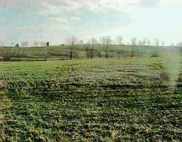 Fisherville Road Finchville, KY 40022 - Photo 1 of 1 Primary Photo