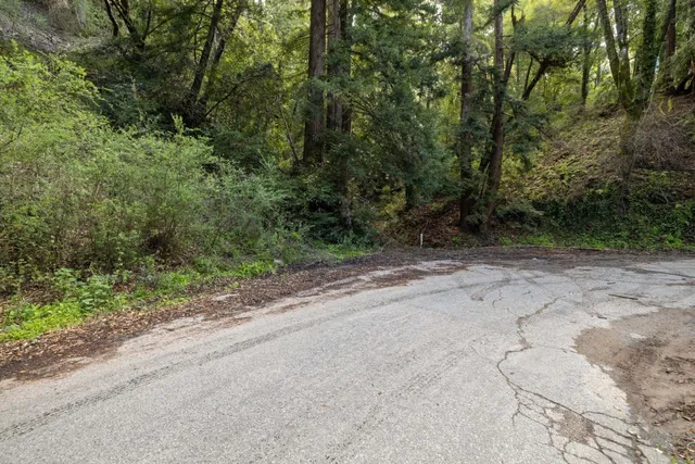a view of a dirt road with trees in the background
