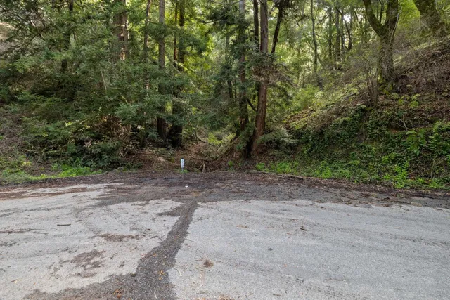 a view of a dirt road with trees in the background