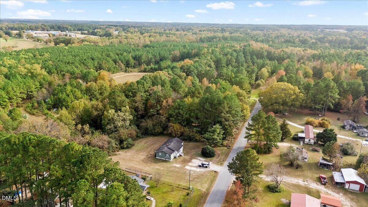 119 Fox Pond Road Henderson, NC 27537 - Photo 28 of 34 a view of a city with lush green forest