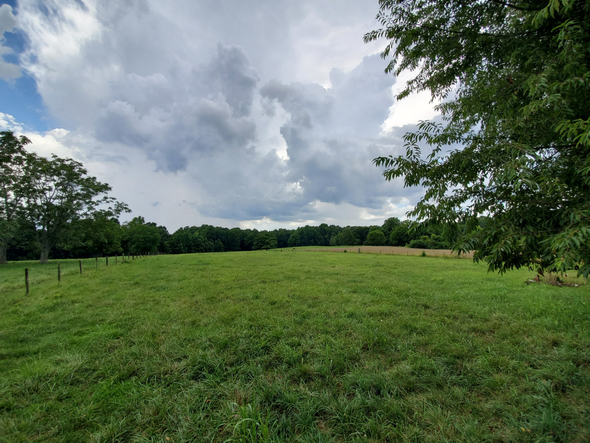 180 Marlin Road White House, TN 37188 - Photo 13 of 43 Gallery Image 13