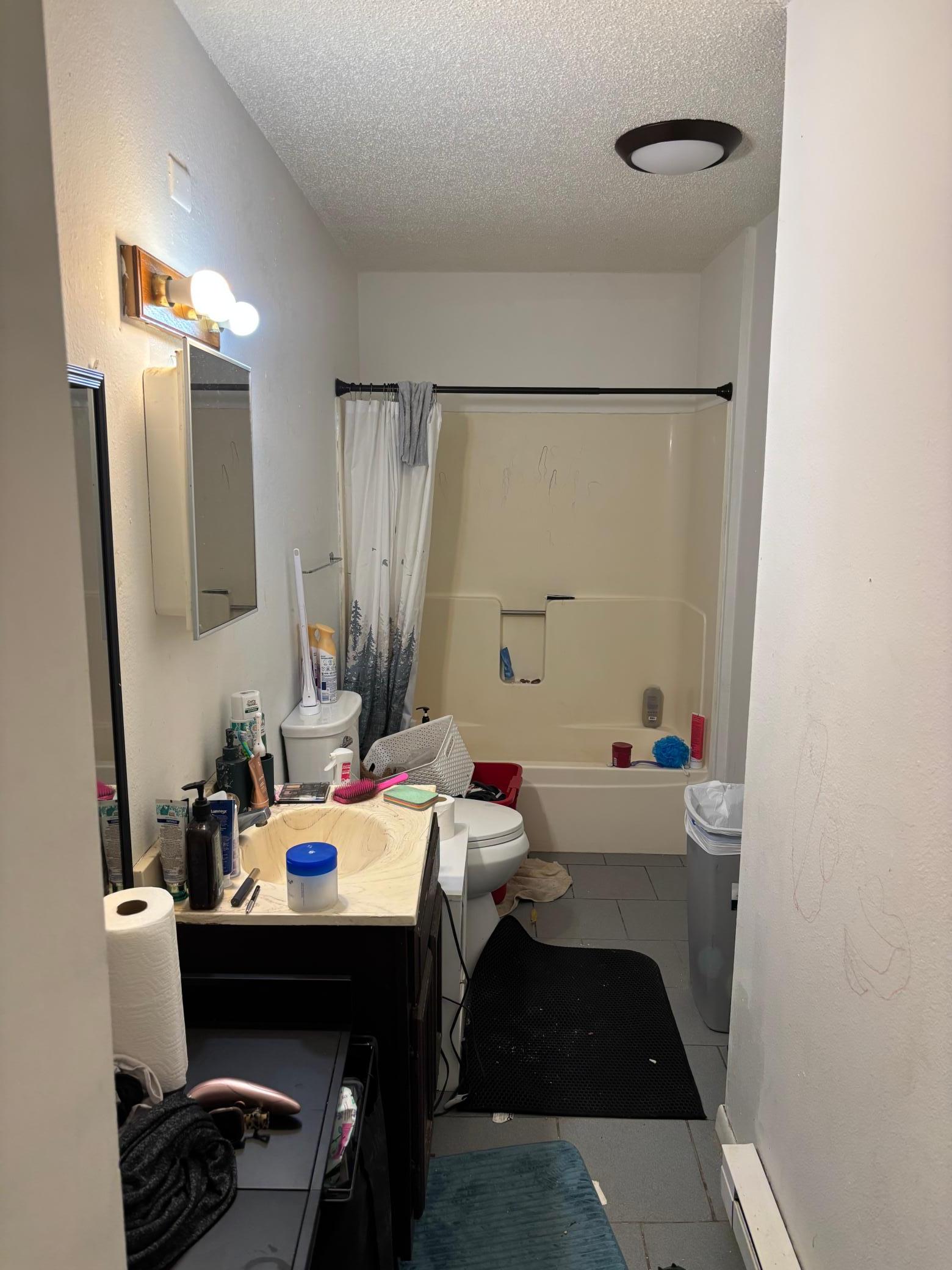 106 East 5th Street Starbuck, MN 56381 - Photo 5 of 13