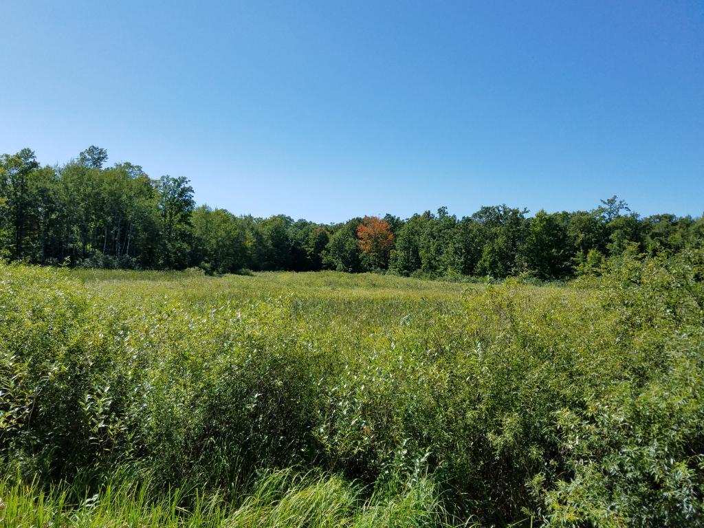 Lot 6 Wildcat Road Spooner, WI 54801 - Photo 1 of 1