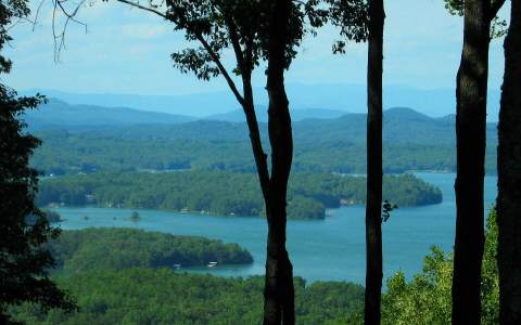 13-14 Green Ridge Mountain Blue Ridge, GA 30513 - Photo 1 of 1 a view of a yard