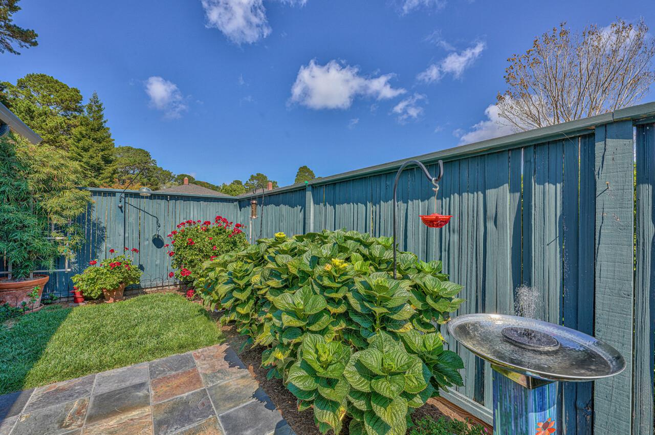 105 Del Mesa Carmel Carmel, CA 93923 - Photo 14 of 35 a view of a backyard with plants