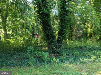 12705 Livingston Road Fort Washington, MD 20744 - Photo 4 of 9 Yard