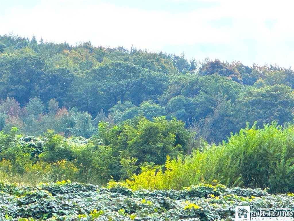 Hardscrabble Road Westfield, NY 14787 - Photo 2 of 16 Gallery Image 2