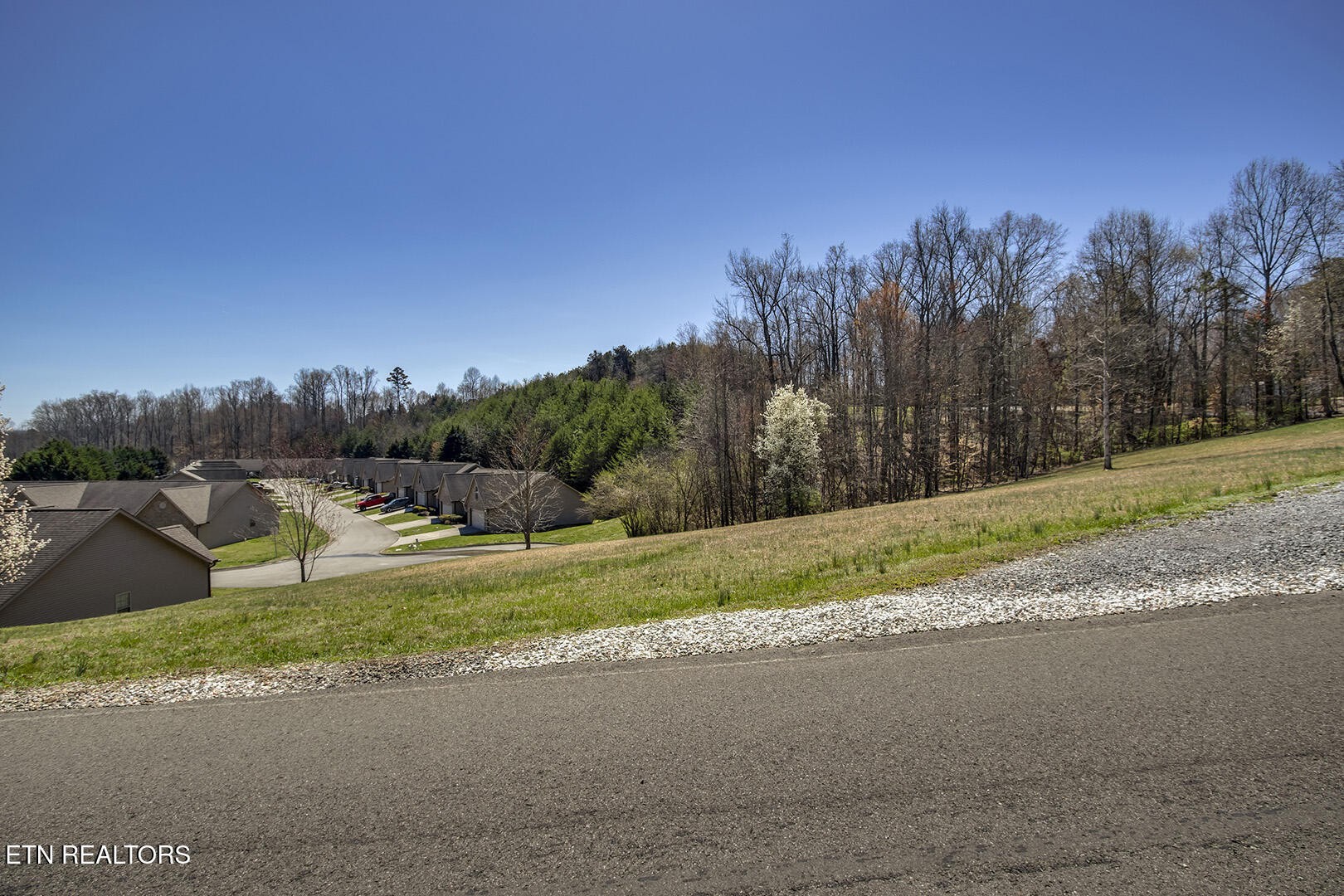 0 Cate Road Powell, TN 37849 - Photo 5 of 17 a view of a road with a yard and a large building