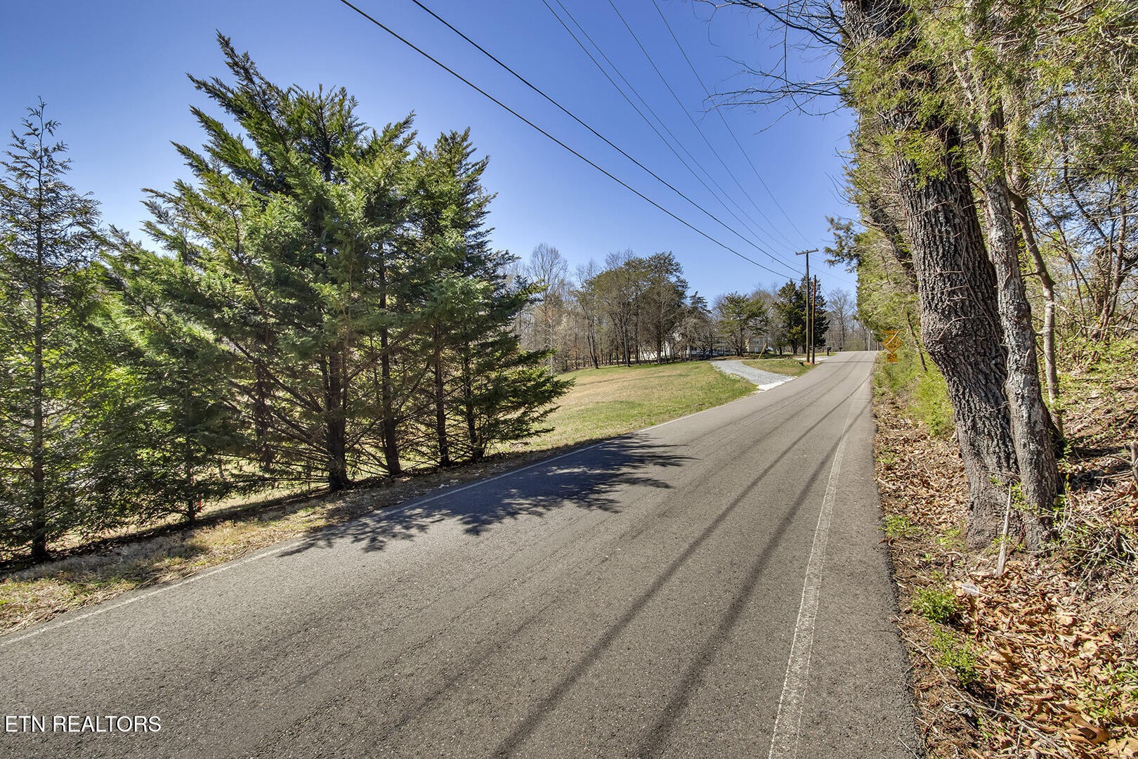 0 Cate Road Powell, TN 37849 - Photo 6 of 17 a view of a yard with an trees