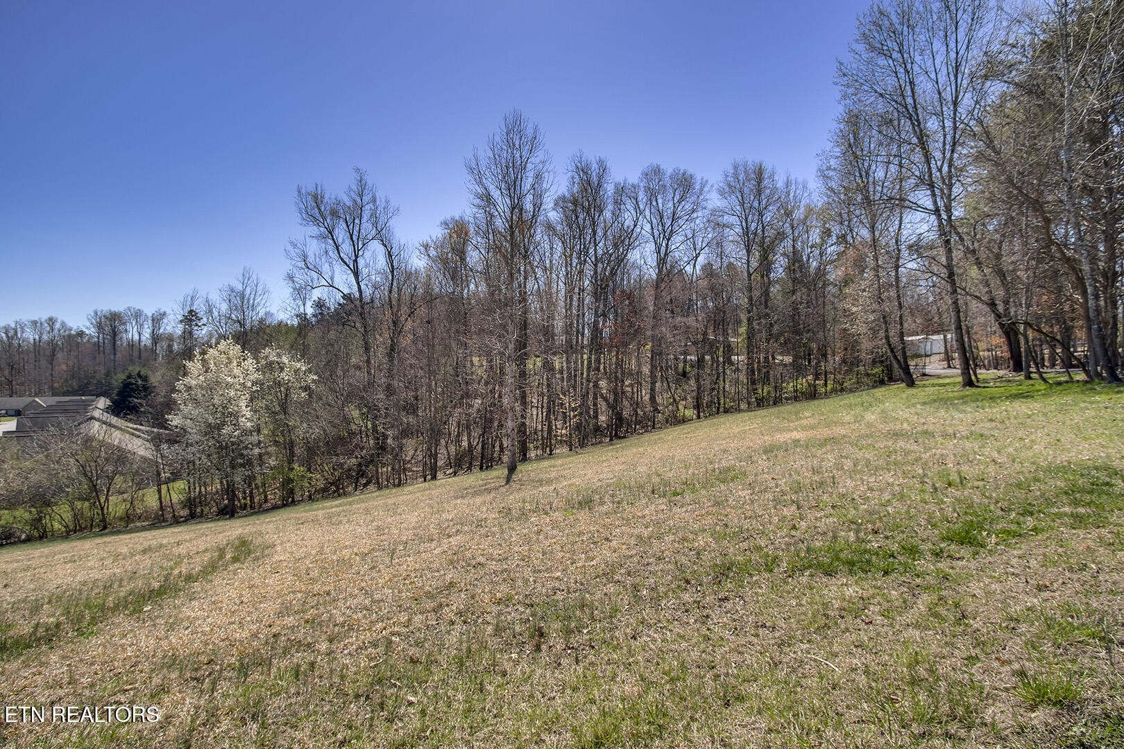 0 Cate Road Powell, TN 37849 - Photo 8 of 17 a view of a yard with trees in the background