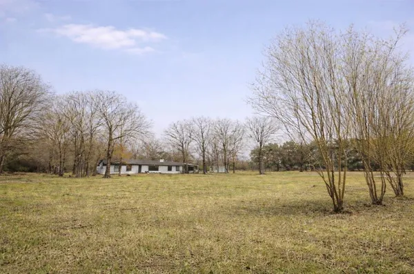 a view of a yard with large trees