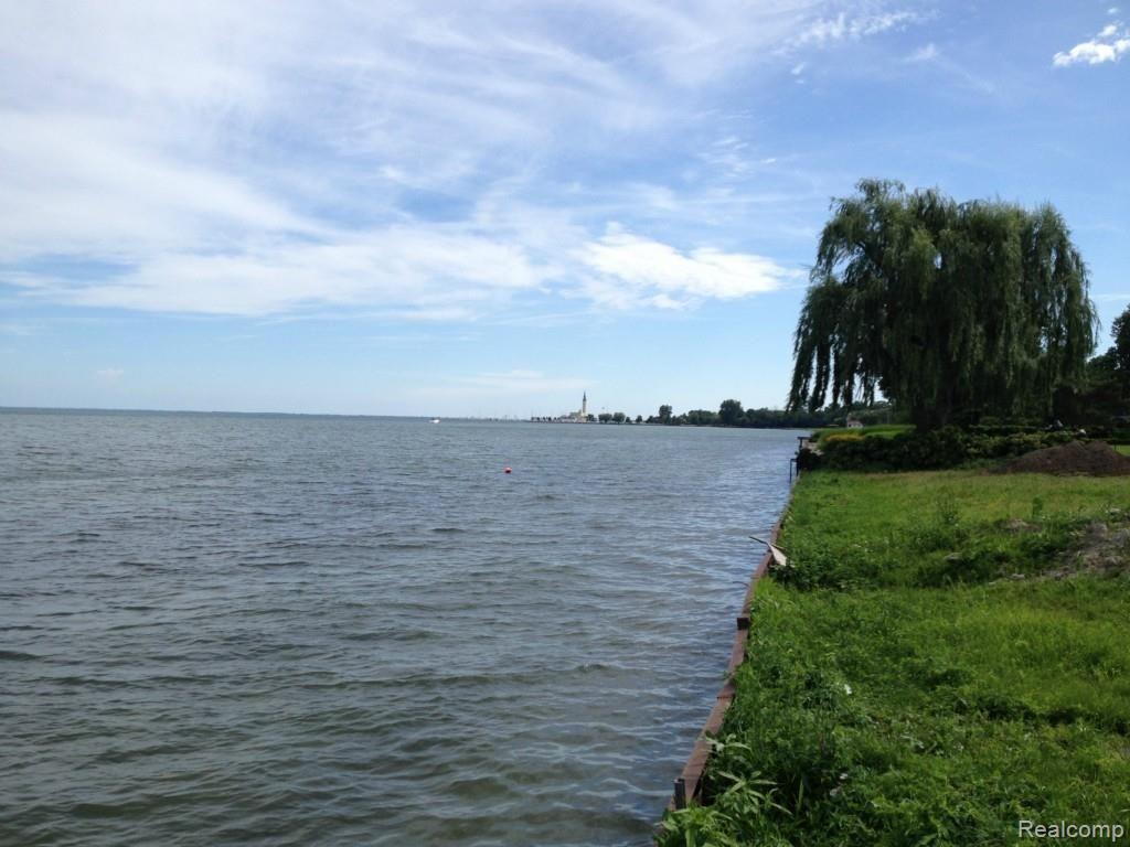 988 Lake Shore Road Grosse Pointe, MI 48236 - Photo 60 of 60 IMG_1893.jpg