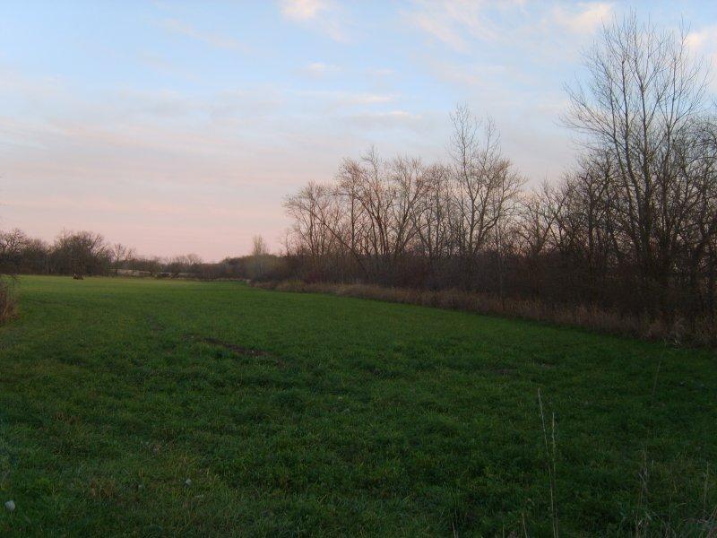 Lt1 Lt1 Britton Road Union Grove, WI 53182 - Photo 1 of 1 View from road