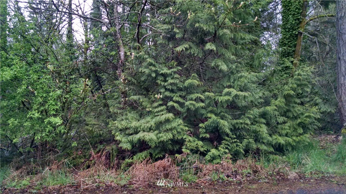 168 Sunnyhill Road West Bremerton, WA 98312 - Photo 2 of 4 Gallery Image 2