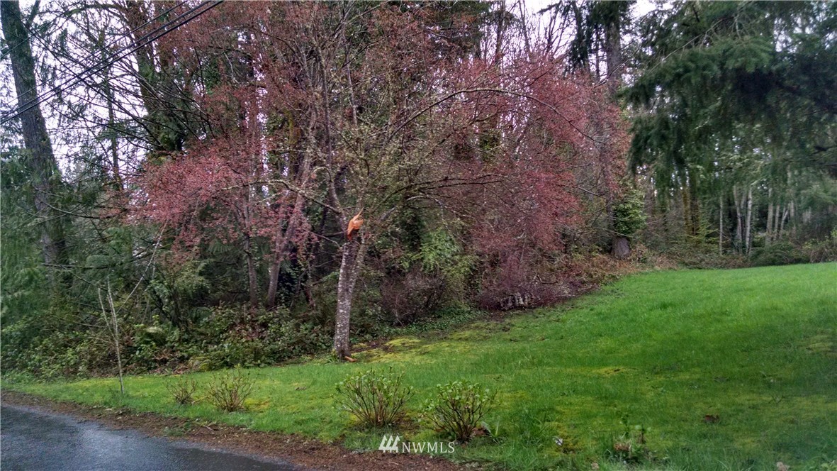 168 Sunnyhill Road West Bremerton, WA 98312 - Photo 4 of 4 Gallery Image 4