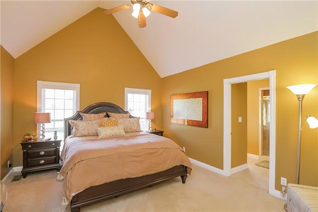 4616 Matthews Road Cedar Hill, TN 37032 - Photo 7 of 20 Master bedroom suite with vaulted ceiling.