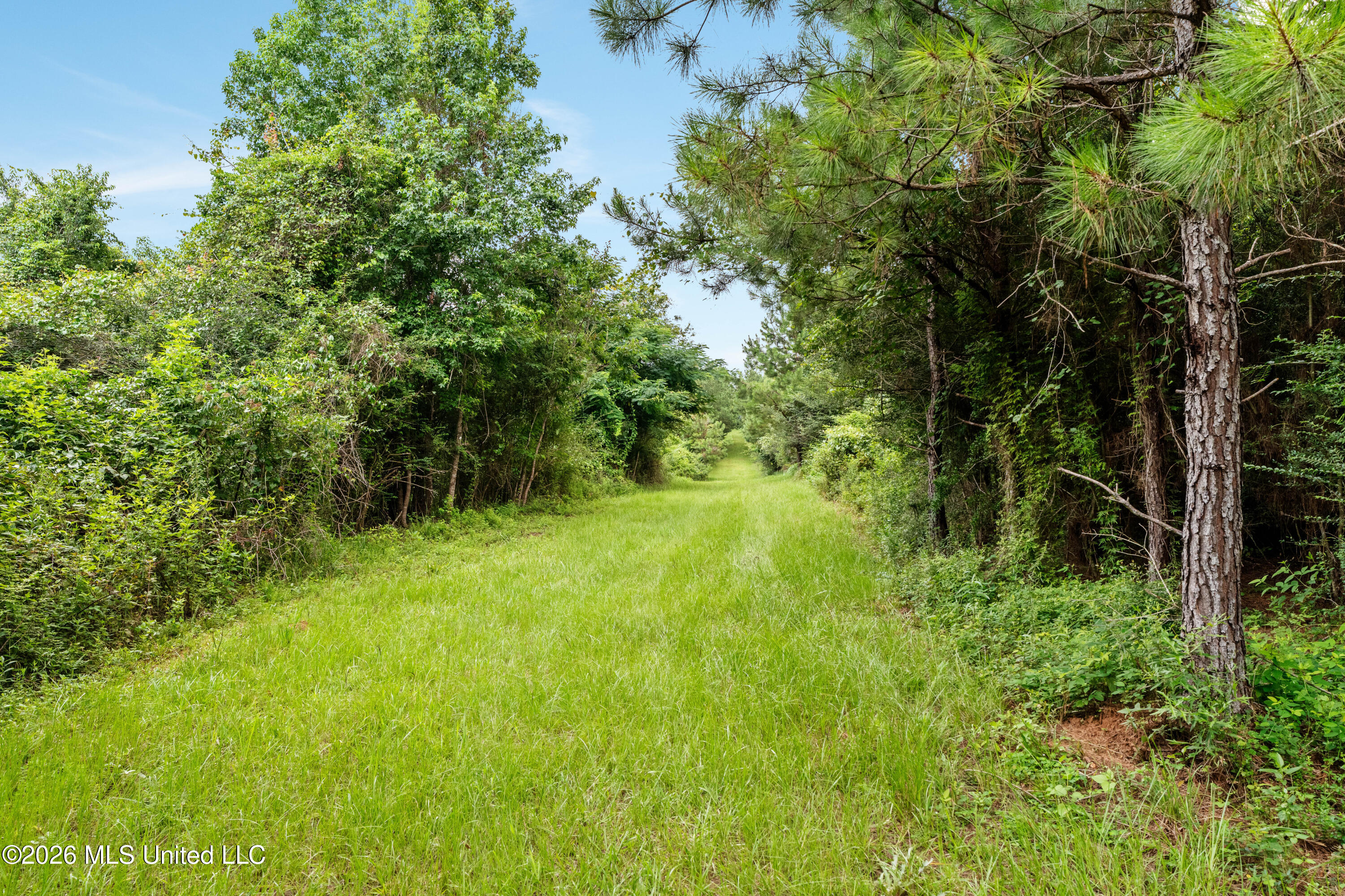 232 Knoxo Columbia Road Tylertown, MS 39667 - Photo 90 of 120 232_Knoxo_Columbia_Rd-89