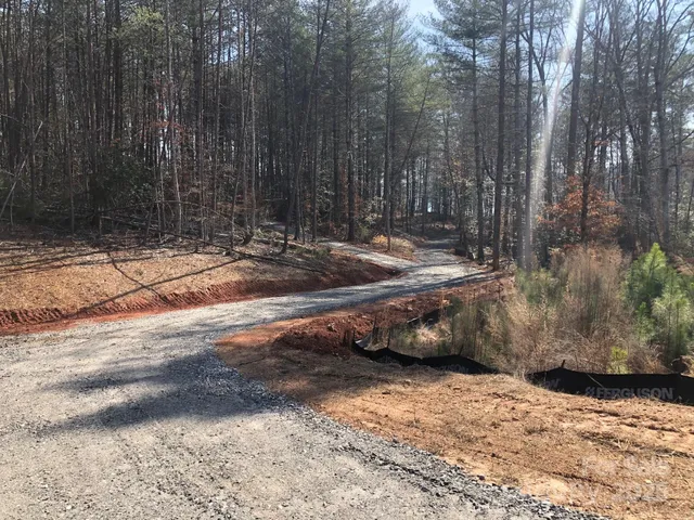 a view of a backyard with trees