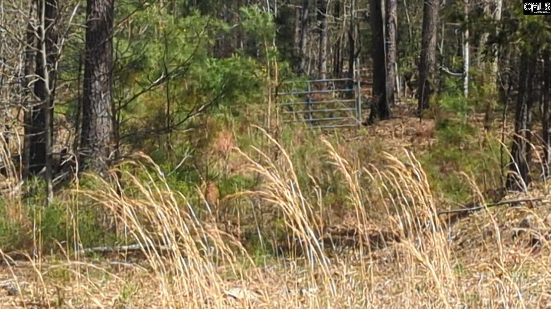 Evergreen Road Winnsboro, SC 29180 - Photo 2 of 3