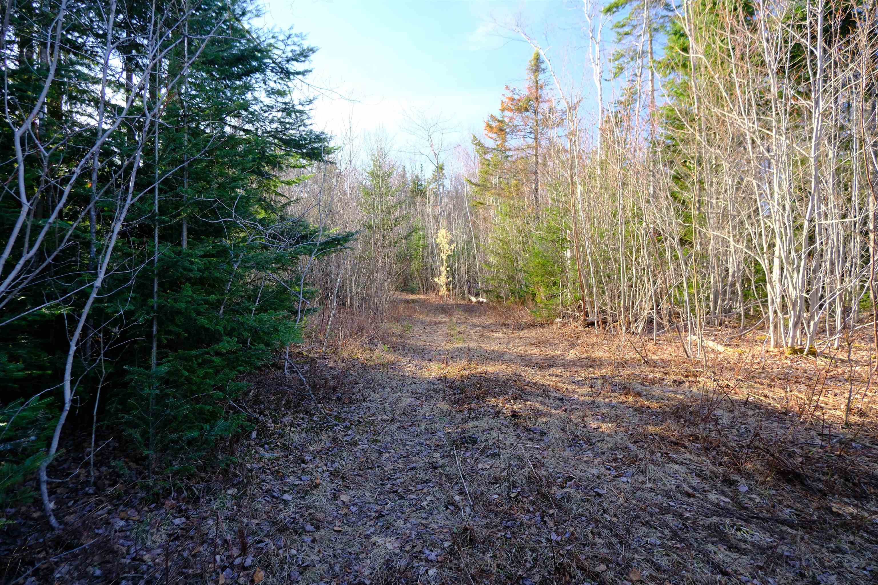 208 Drake Pl Road Sheffield, VT 05866 - Photo 6 of 27