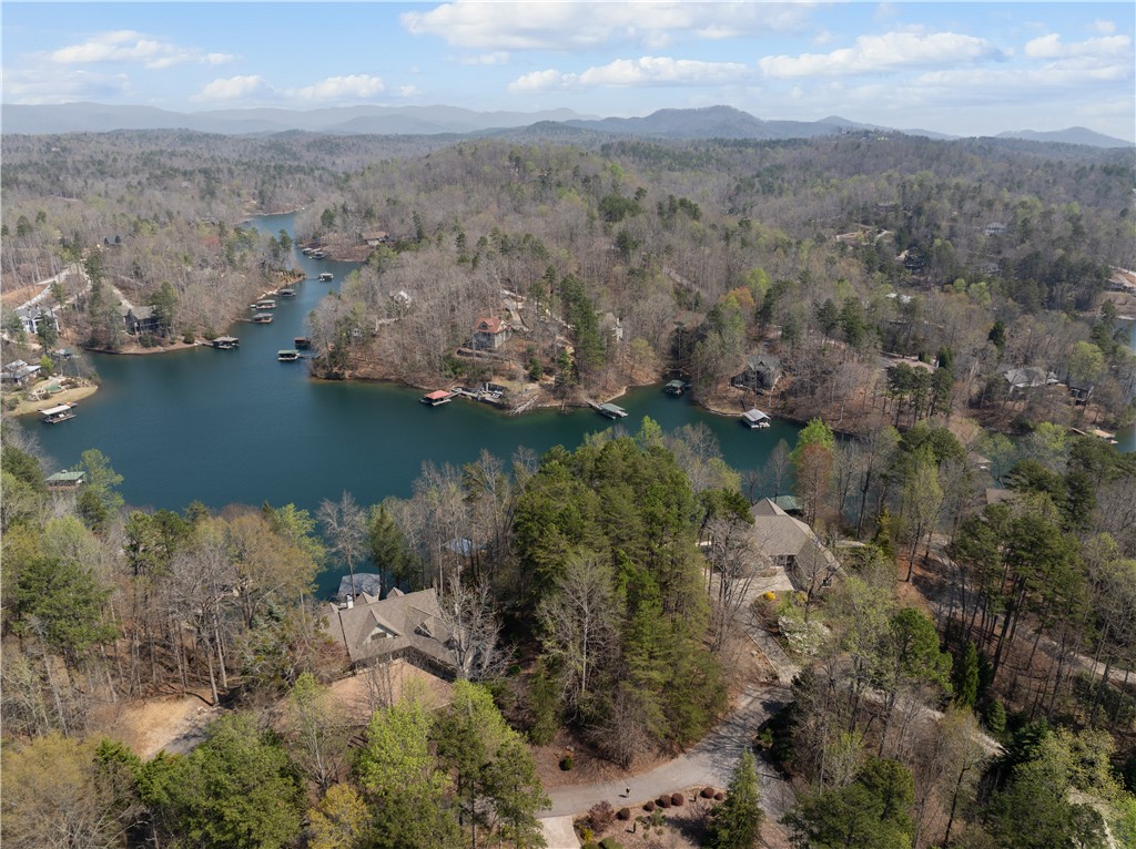 319 Trottingwolf Trail Sunset, SC 29685 - Photo 11 of 20