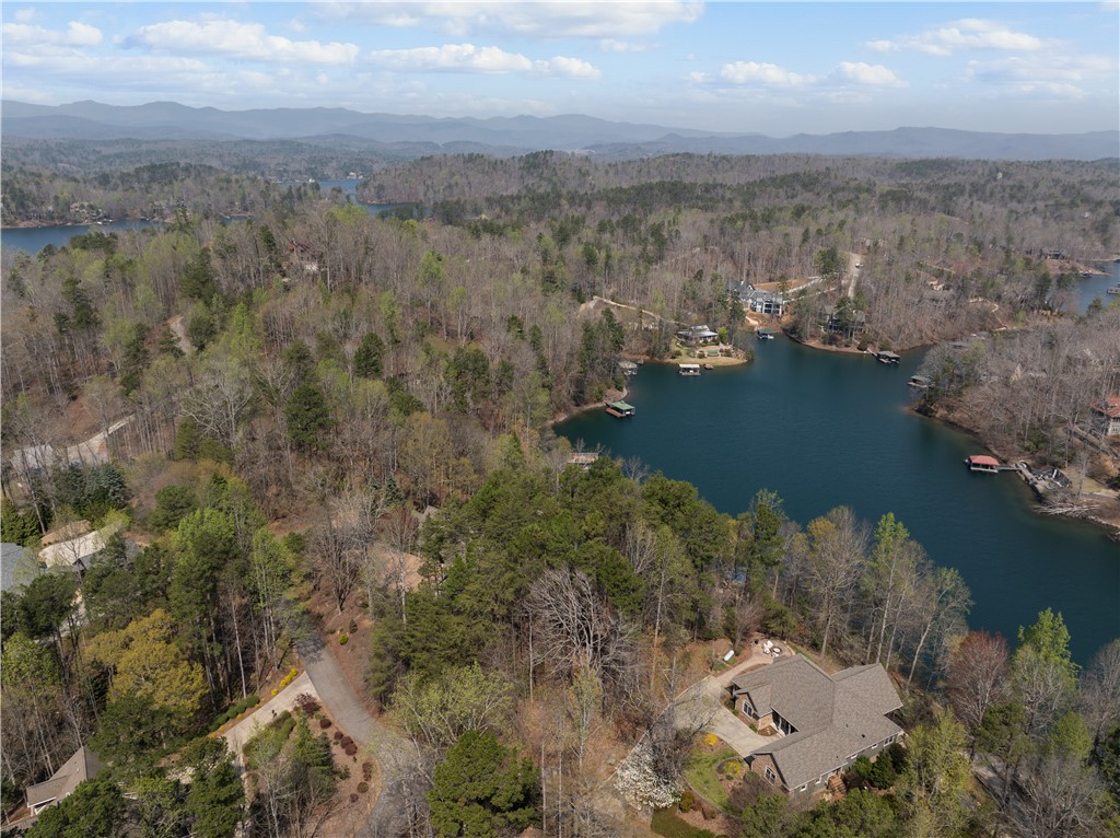 319 Trottingwolf Trail Sunset, SC 29685 - Photo 13 of 20