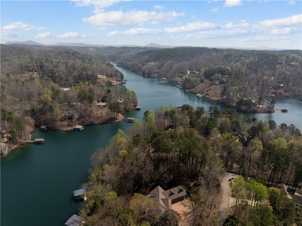 319 Trottingwolf Trail Sunset, SC 29685 - Photo 16 of 20