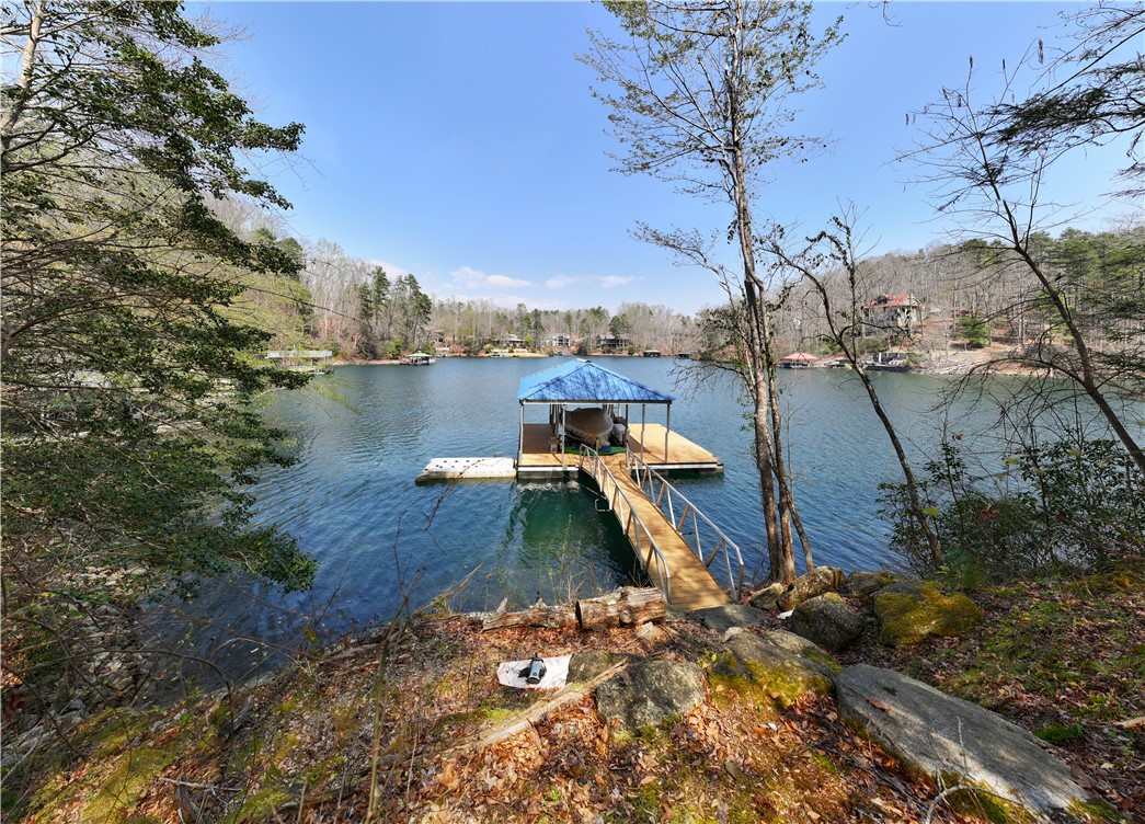 319 Trottingwolf Trail Sunset, SC 29685 - Photo 2 of 20