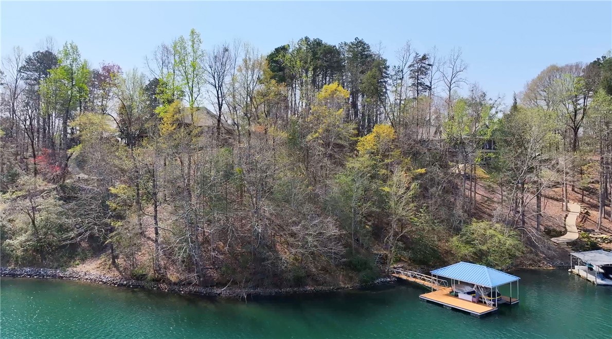 319 Trottingwolf Trail Sunset, SC 29685 - Photo 3 of 20