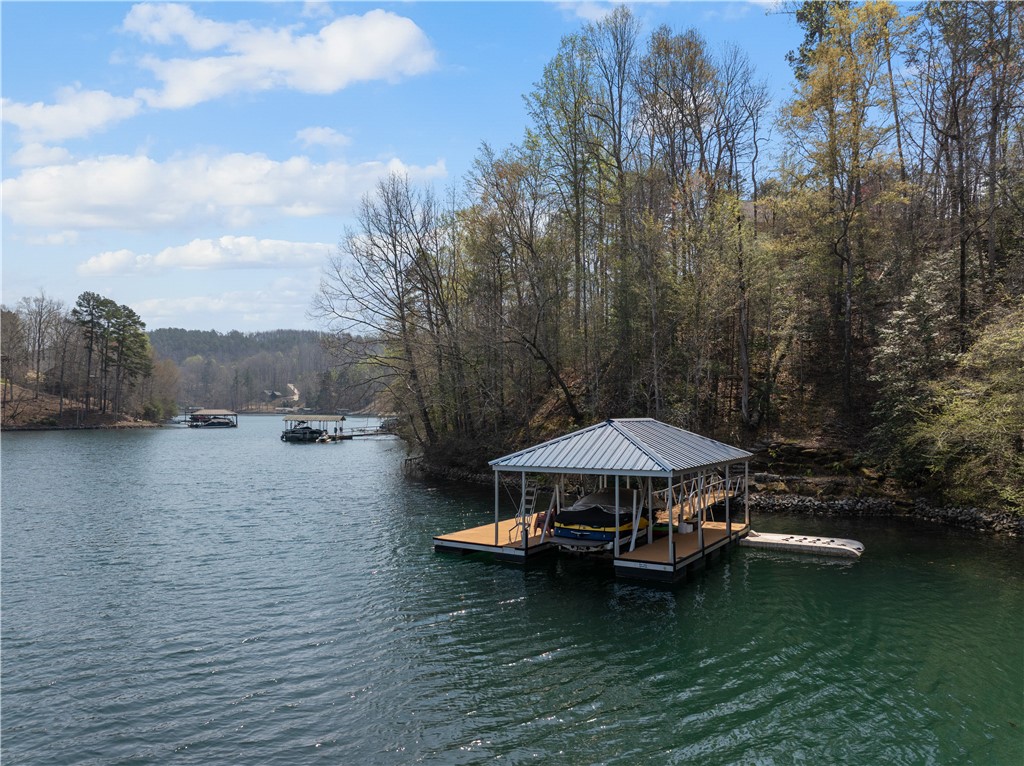 319 Trottingwolf Trail Sunset, SC 29685 - Photo 4 of 20