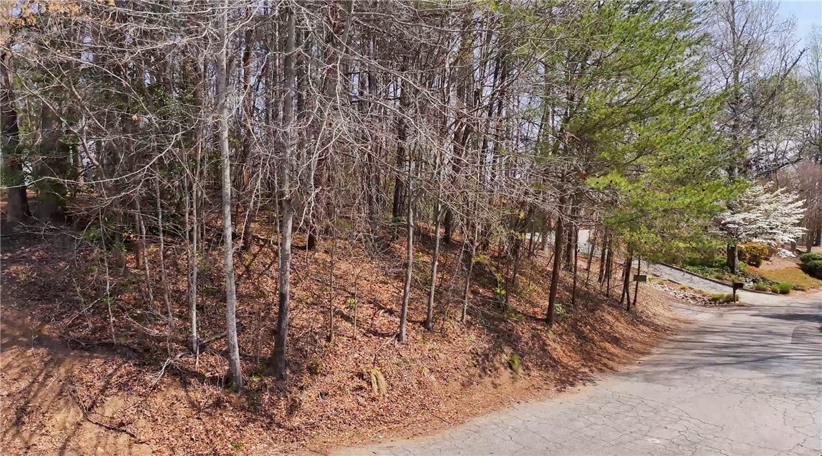 319 Trottingwolf Trail Sunset, SC 29685 - Photo 5 of 20