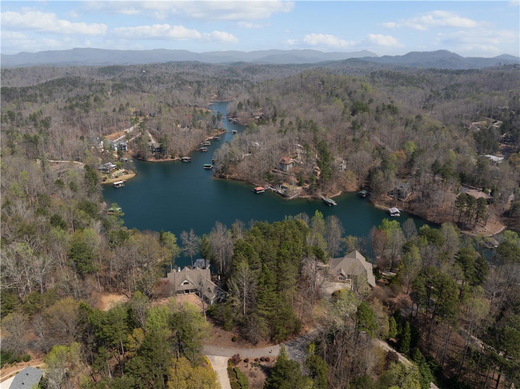 319 Trottingwolf Trail Sunset, SC 29685 - Photo 9 of 20