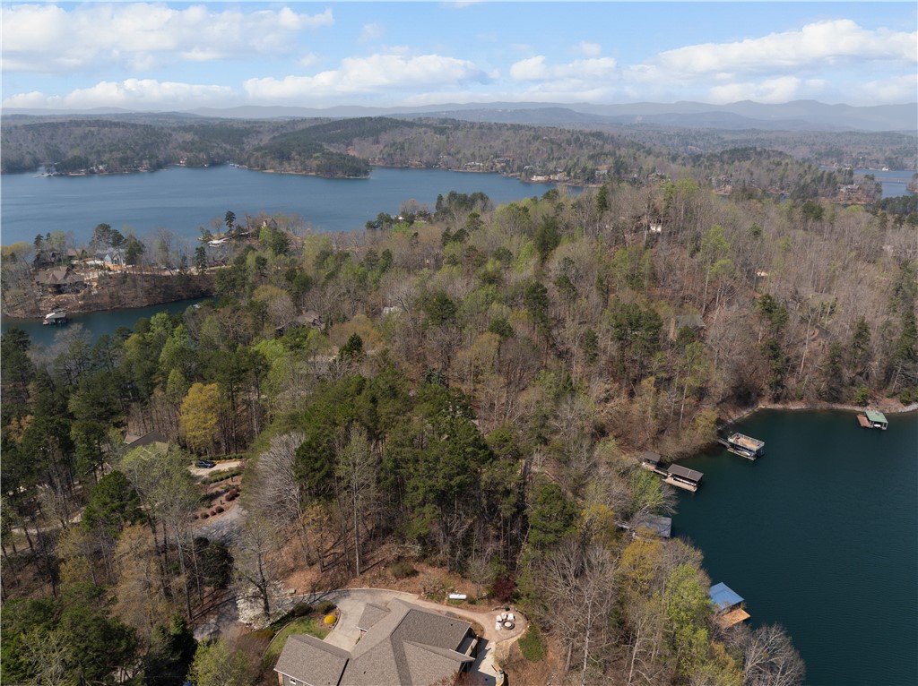 319 Trottingwolf Trail Sunset, SC 29685 - Photo 10 of 20