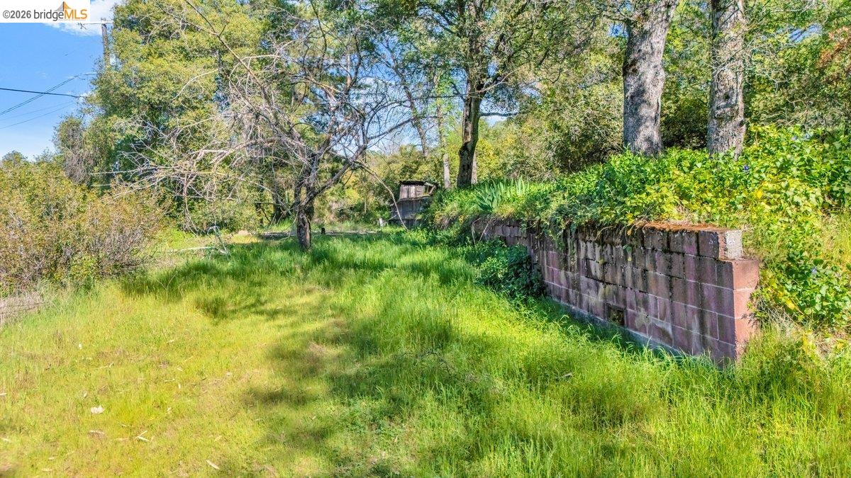 11965 Campo Seco Road Sonora, CA 95370 - Photo 3 of 12 View of yard