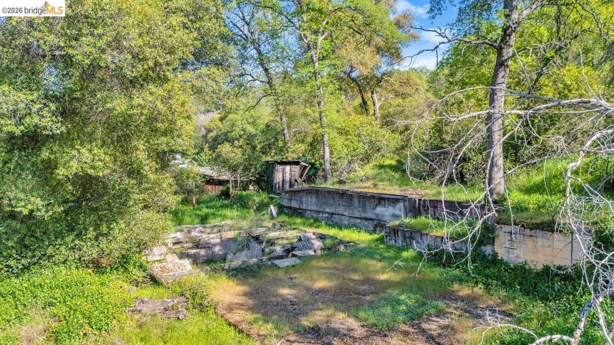 11965 Campo Seco Road Sonora, CA 95370 - Photo 6 of 12 View of yard