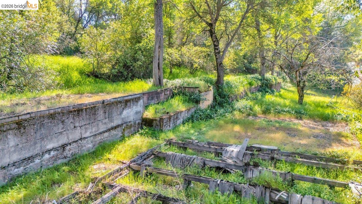 11965 Campo Seco Road Sonora, CA 95370 - Photo 9 of 12 View of yard