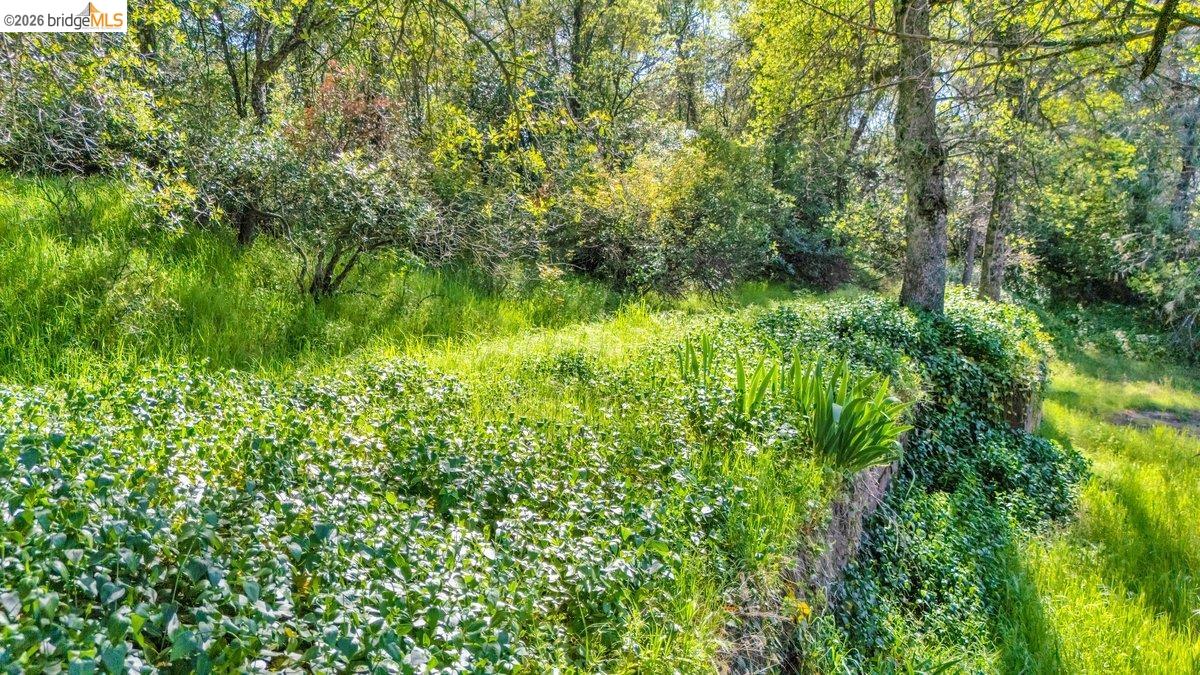 11965 Campo Seco Road Sonora, CA 95370 - Photo 10 of 12 View of undeveloped land