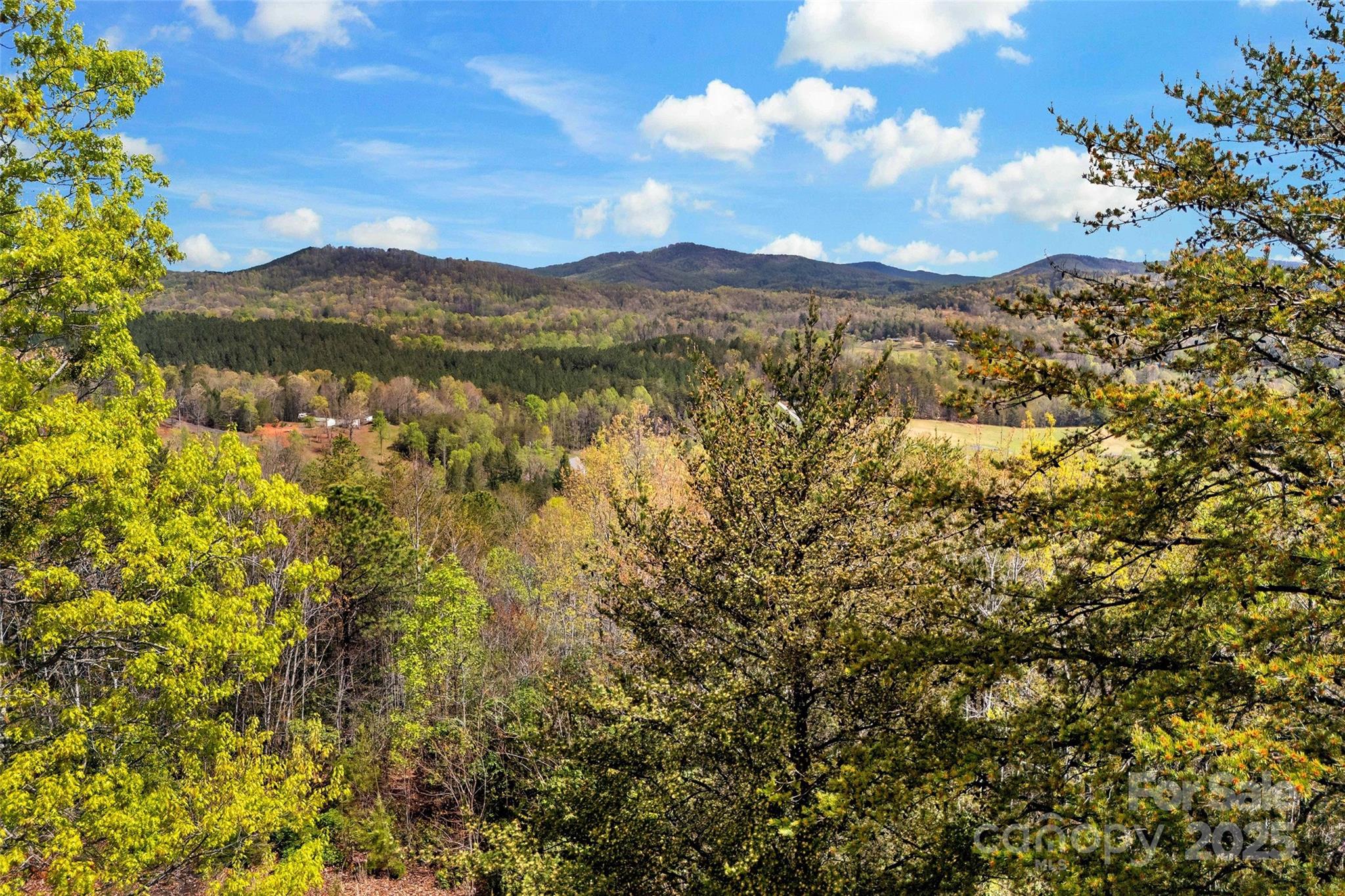 690 Hidden Acres Drive Marion, NC 28752 - Photo 11 of 12 a view of mountain view with mountains in the background