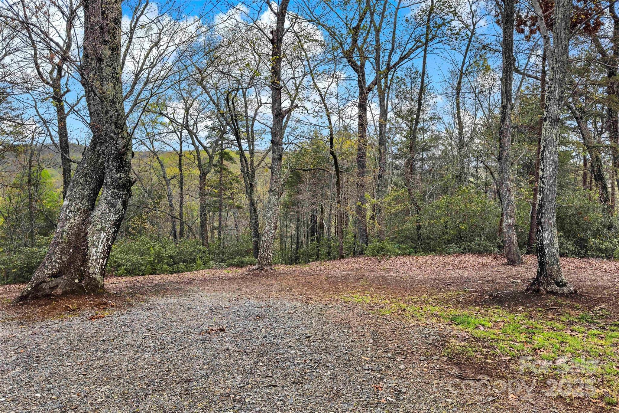 690 Hidden Acres Drive Marion, NC 28752 - Photo 2 of 12 a view of outdoor space with trees