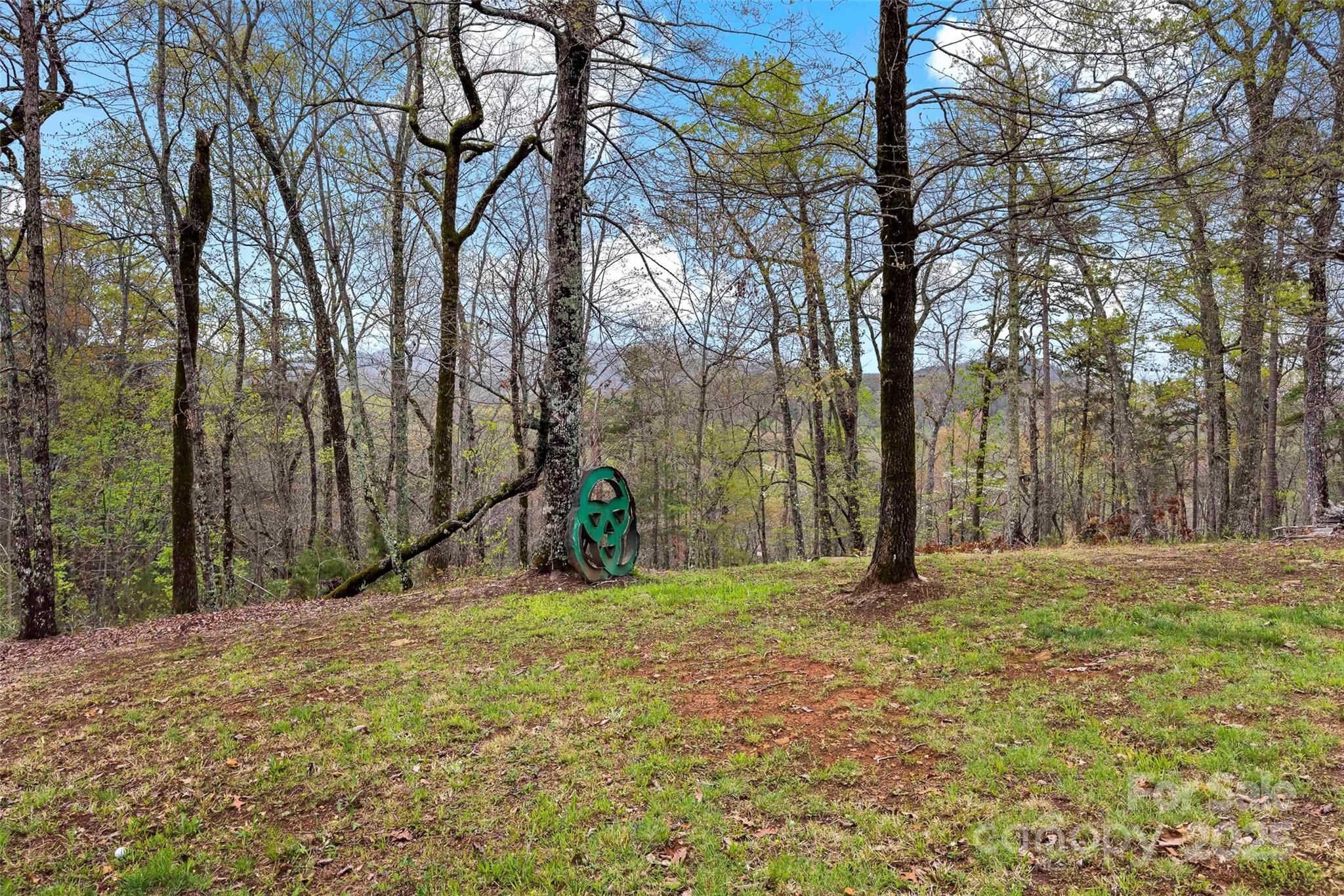 690 Hidden Acres Drive Marion, NC 28752 - Photo 4 of 12 a view of outdoor space with trees