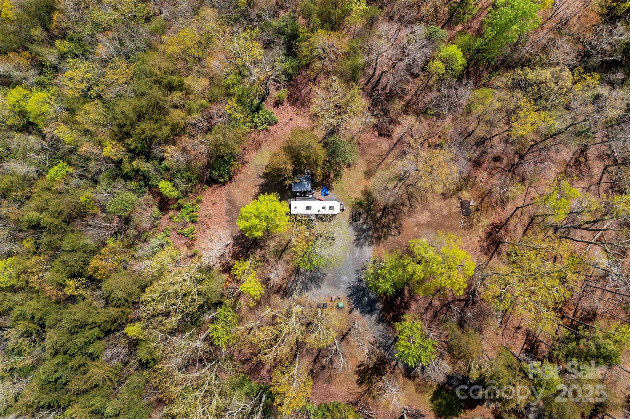 690 Hidden Acres Drive Marion, NC 28752 - Photo 6 of 12 a close up of a tree