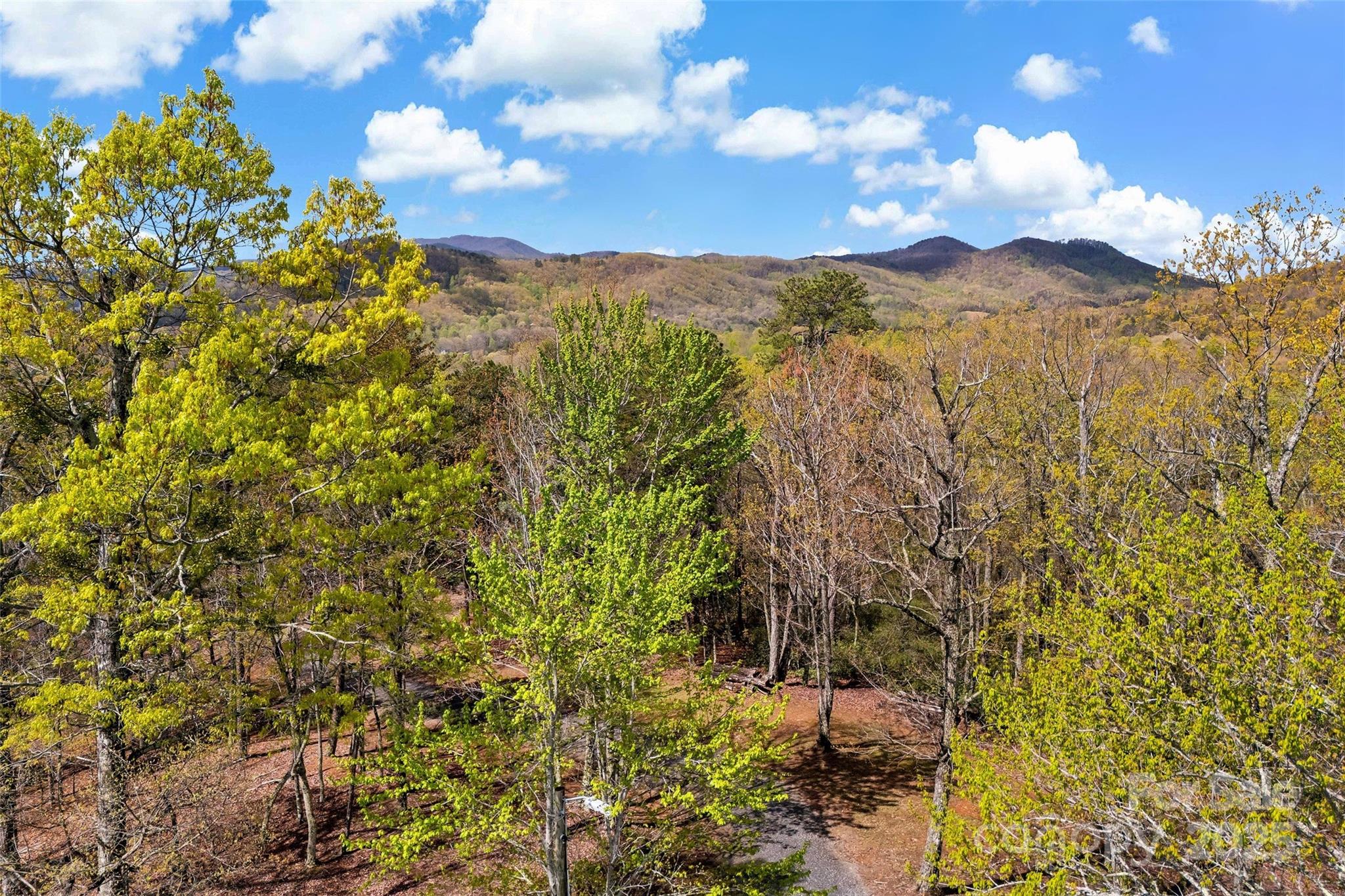 690 Hidden Acres Drive Marion, NC 28752 - Photo 9 of 12
