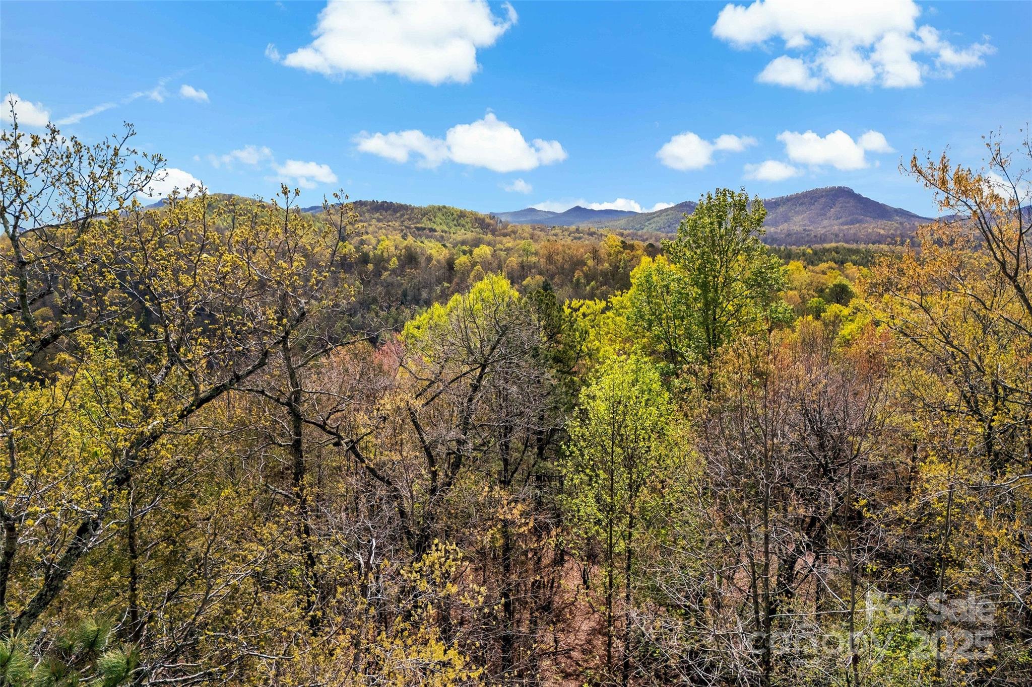 690 Hidden Acres Drive Marion, NC 28752 - Photo 10 of 12 a view of a city
