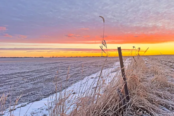 $1,666,667 | 104 110th Avenue, Ceylon, MN 56121