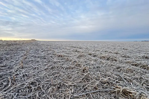 $1,666,667 | 104 110th Avenue, Ceylon, MN 56121