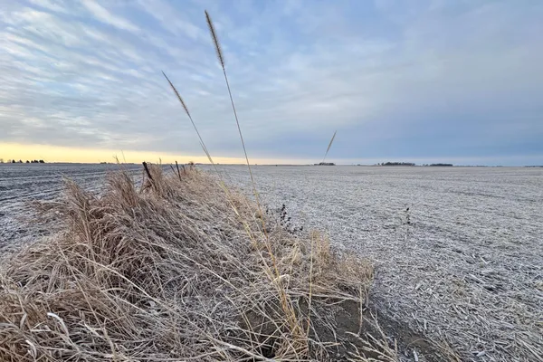 $1,666,667 | 104 110th Avenue, Ceylon, MN 56121