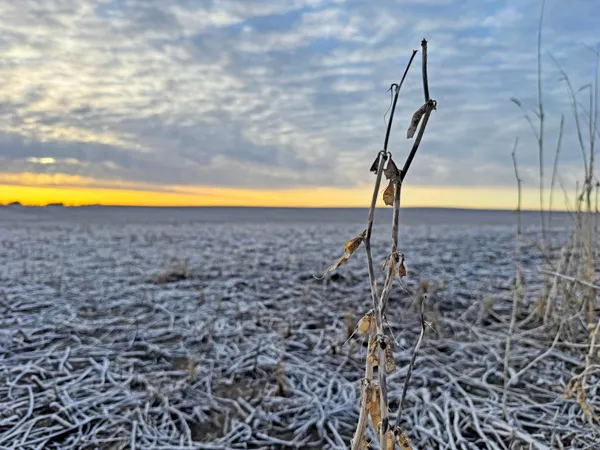 $1,666,667 | 104 110th Avenue, Ceylon, MN 56121