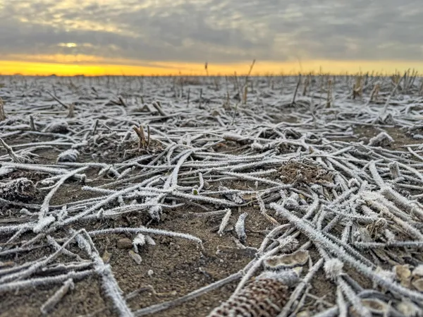 $1,666,667 | 104 110th Avenue, Ceylon, MN 56121