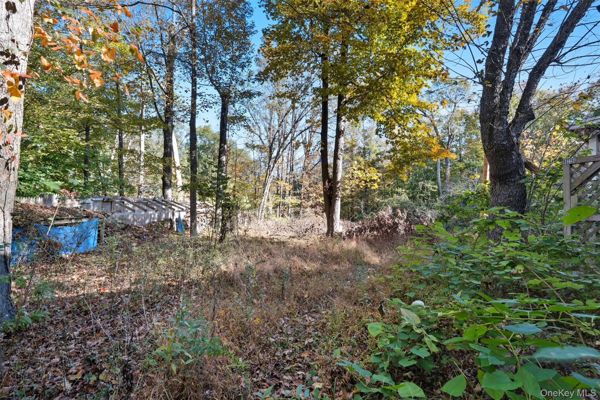 215 Old Rte 32 Highland Mills, NY 10930 - Photo 31 of 34 a view of a forest with large trees